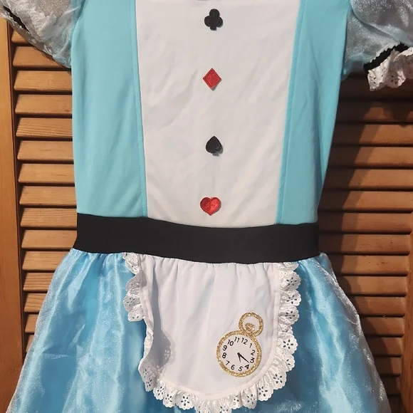 Alice In Wonderland Costume Dress - Picture 2 of 6